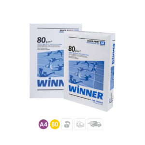 WINNER 24 KOLİ